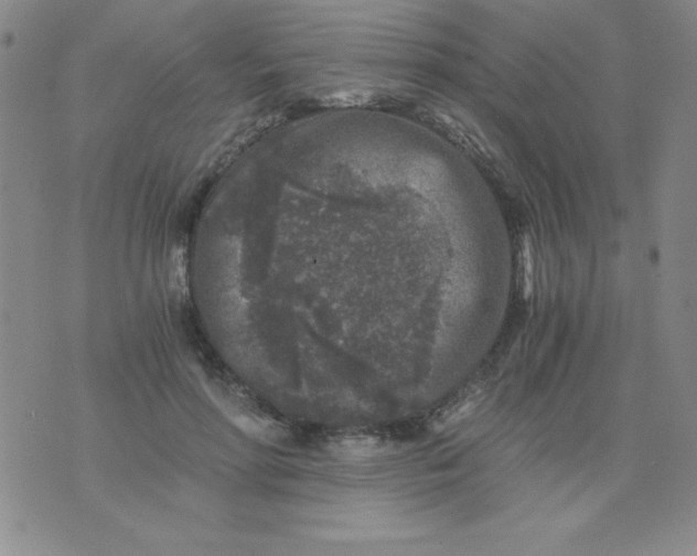 X0000075920598200610062209