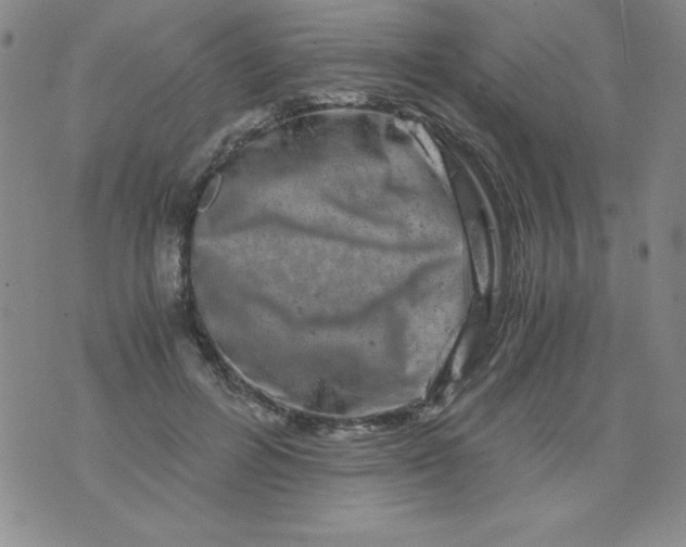 X0000075920600200610062209