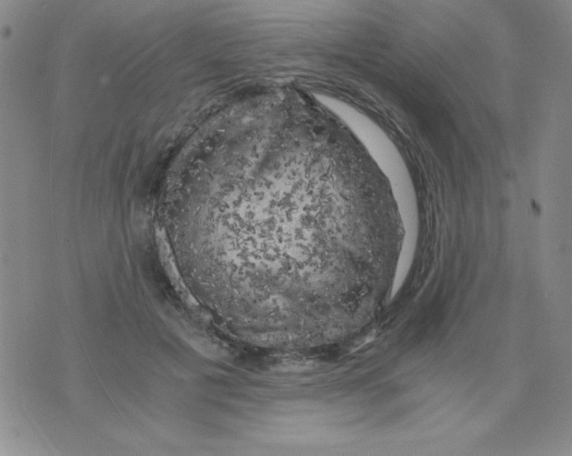 X0000075920601200610062209