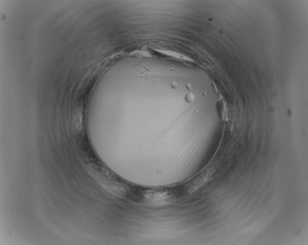 X0000075920602200610062209