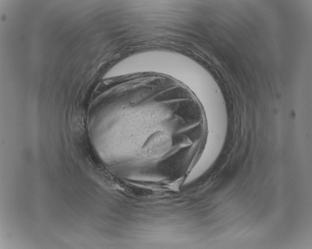 X0000075920603200610062209