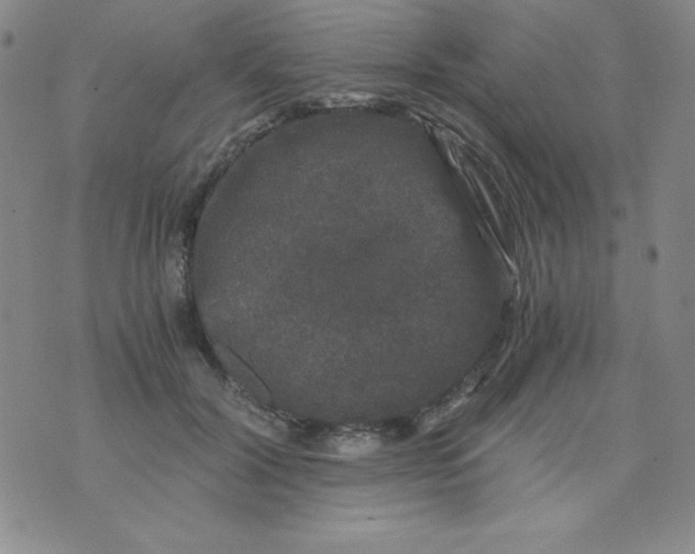 X0000075920604200610062209