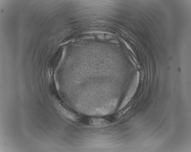 X0000075920605200610062209