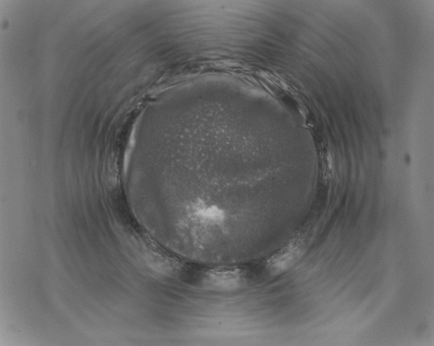 X0000075920606200610062209