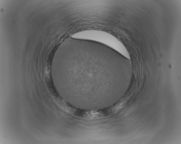 X0000075920607200610062209