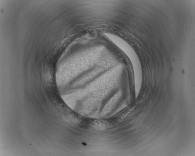 X0000075920608200610062209