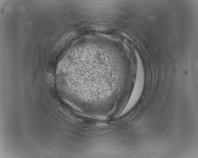 X0000075920609200610062209