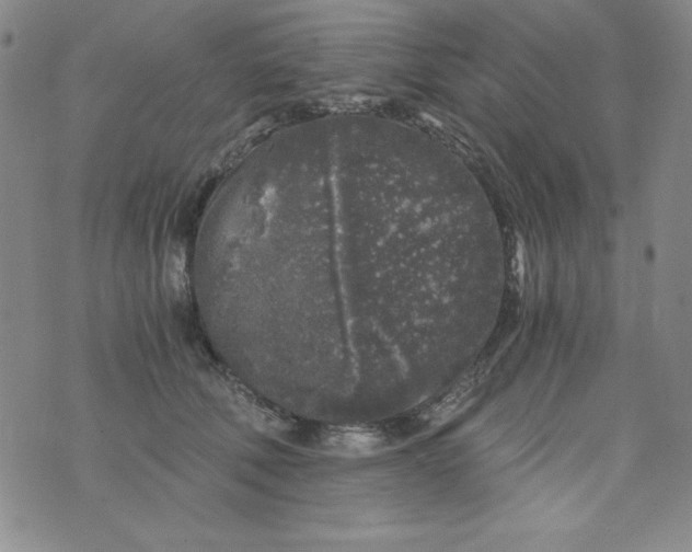 X0000075920610200610062209