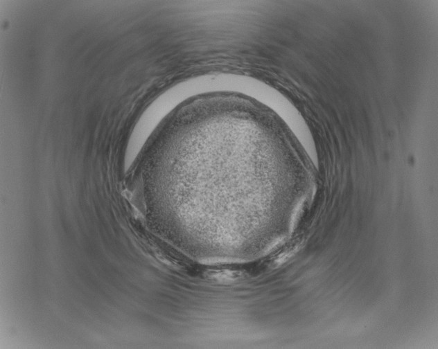 X0000075920611200610062209