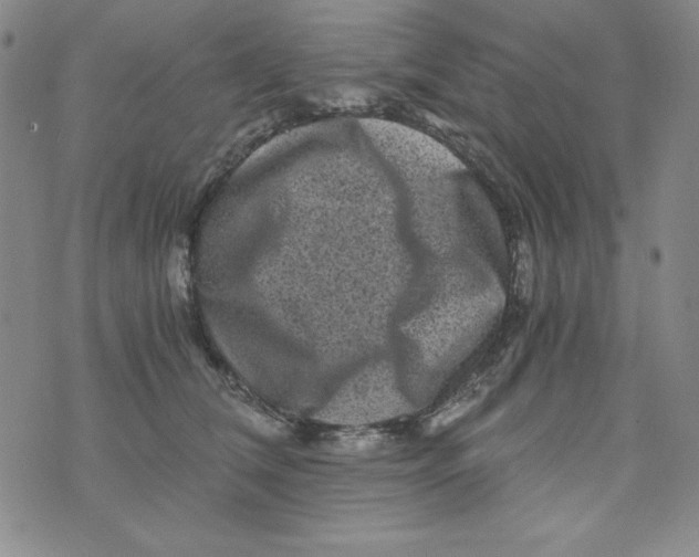 X0000075920612200610062209