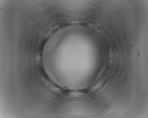 X0000075920614200610062209