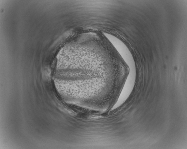 X0000075920617200610062209