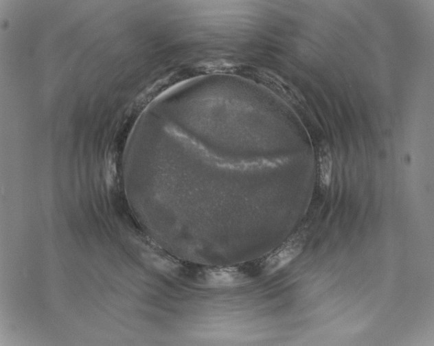 X0000075920618200610062209