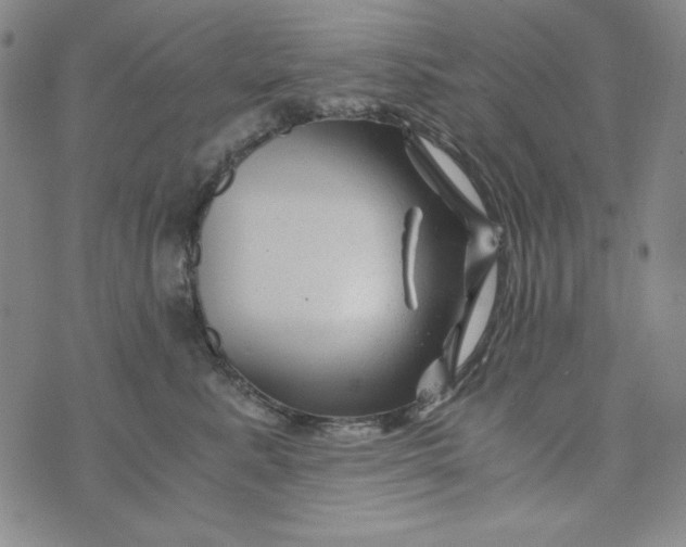 X0000075920619200610062209