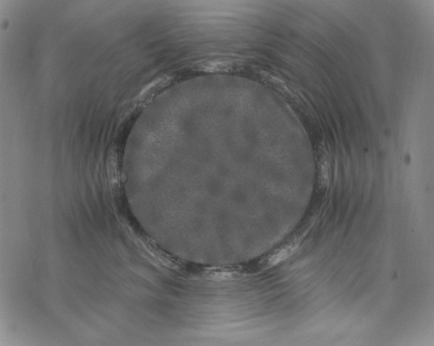 X0000075920620200610062209