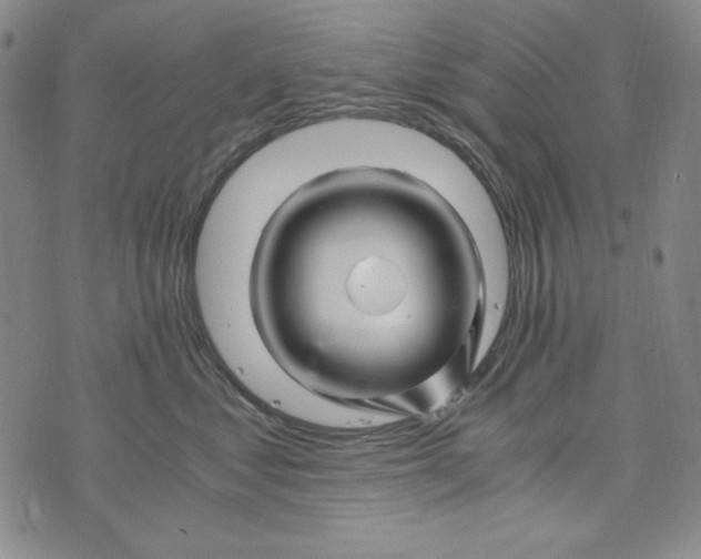 X0000075920621200610062209