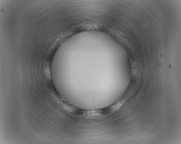 X0000075920622200610062209