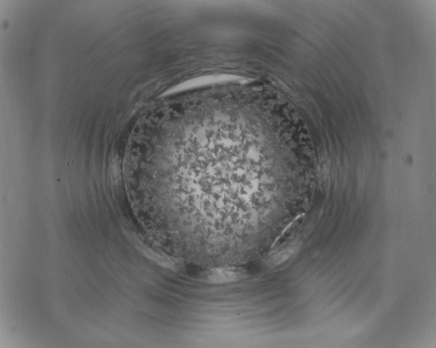 X0000075920623200610062209