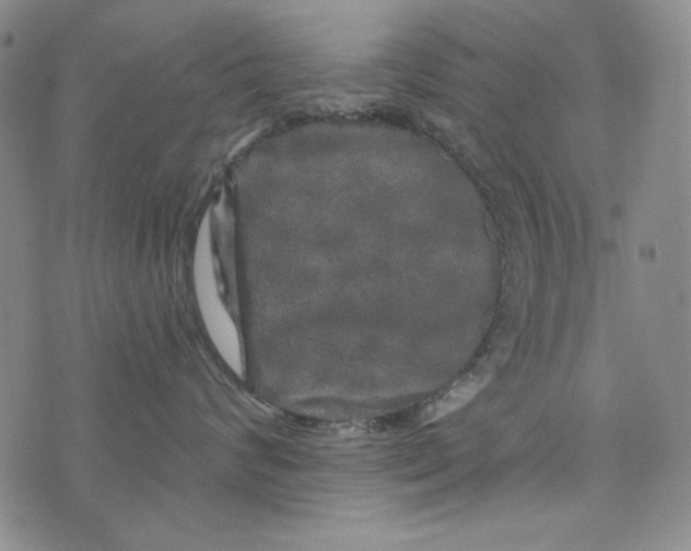 X0000075920624200610062209