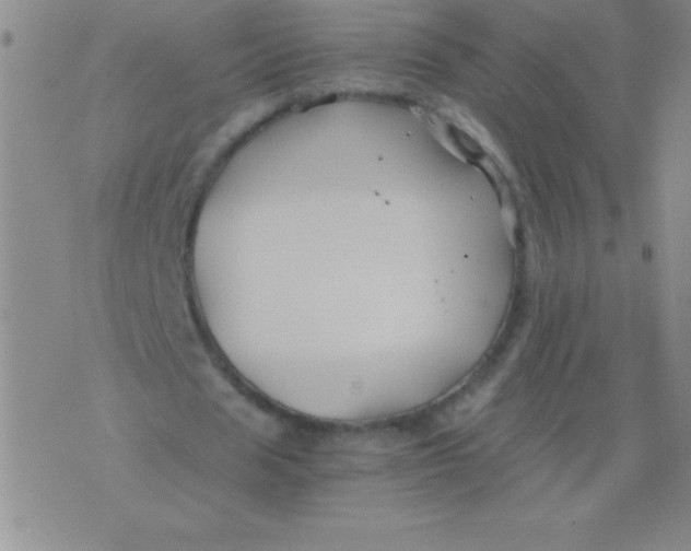 X0000075920625200610062208