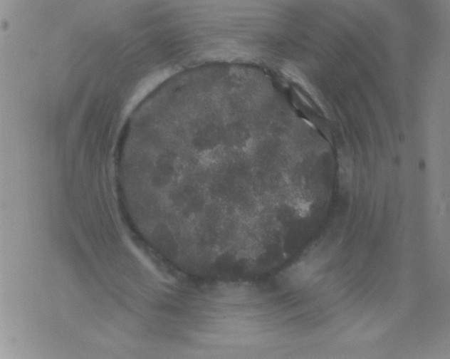 X0000075920626200610062208