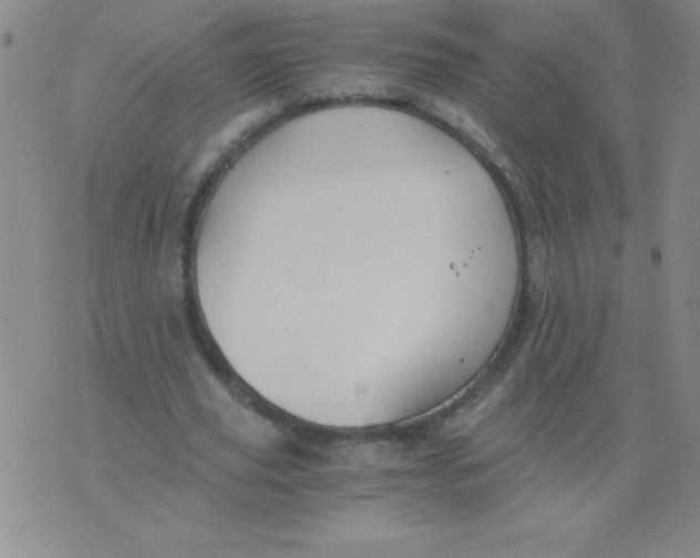 X0000075920629200610062208