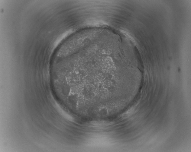 X0000075920630200610062208