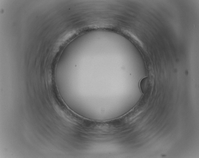 X0000075920631200610062208