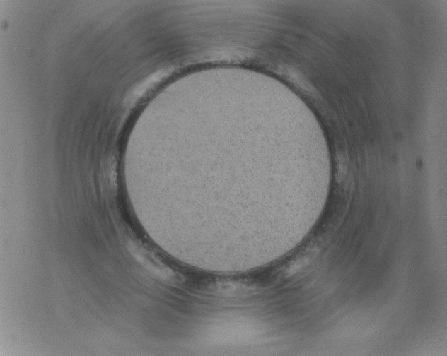 X0000075920632200610062208