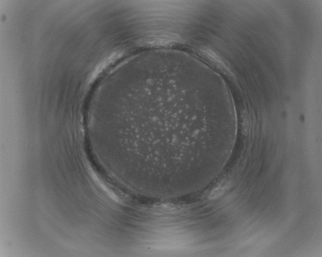 X0000075920634200610062208