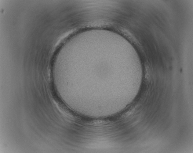 X0000075920636200610062208