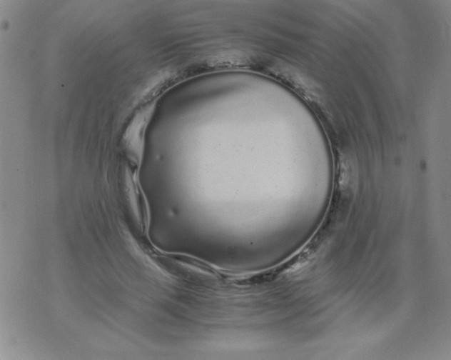 X0000075920637200610062208