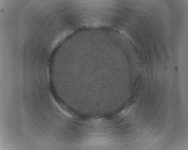 X0000075920638200610062208