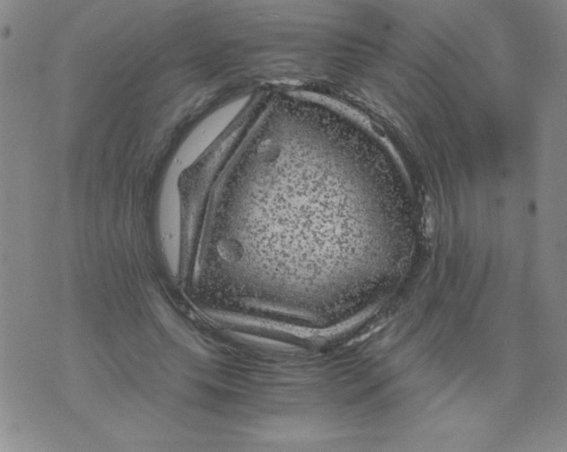 X0000075920639200610062208