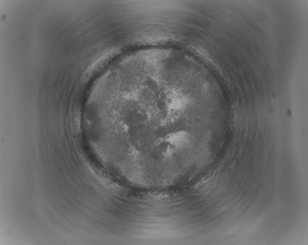 X0000075920640200610062208