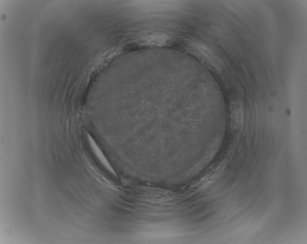 X0000075920641200610062208