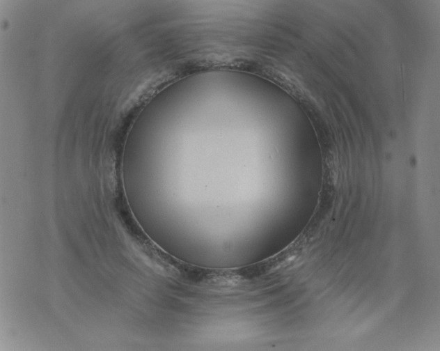 X0000075920642200610062209