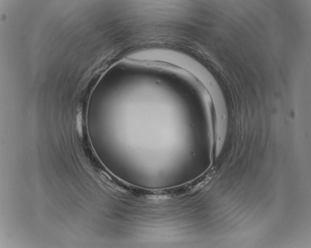 X0000075920644200610062209