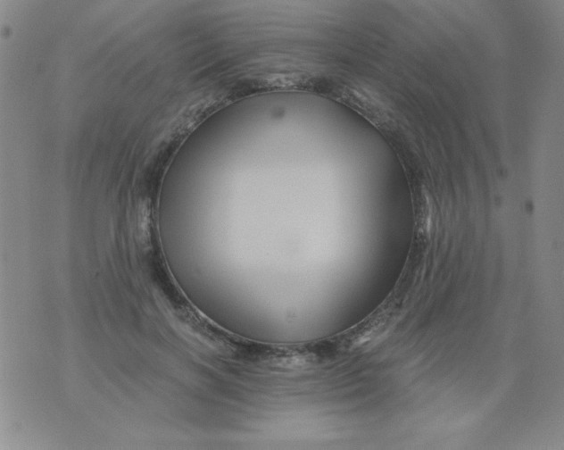 X0000075920646200610062209