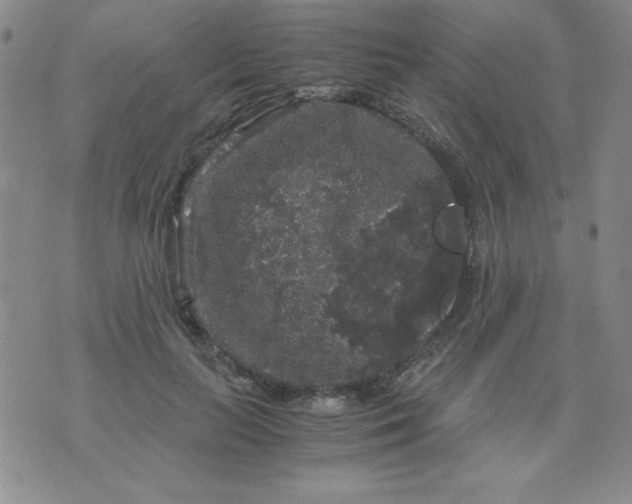 X0000075920647200610062209