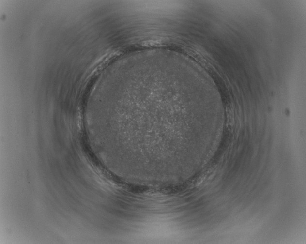 X0000075920648200610062209