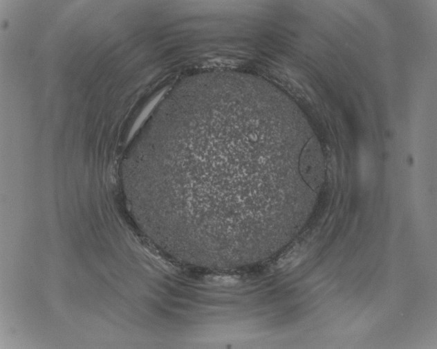 X0000075920649200610062209