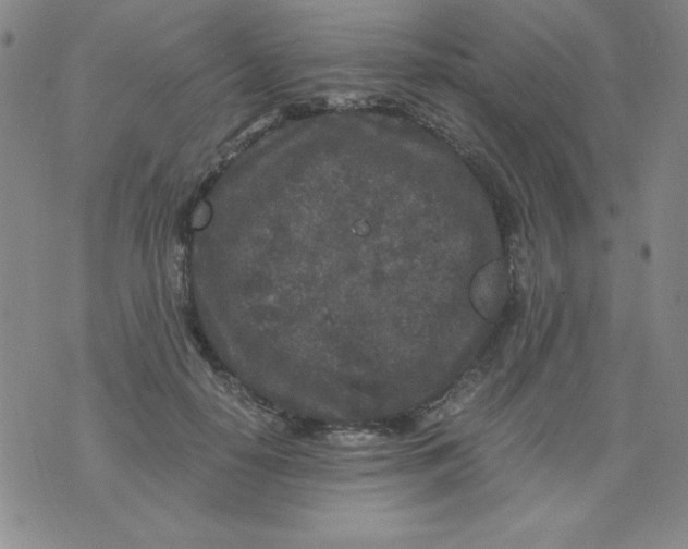 X0000075920650200610062209