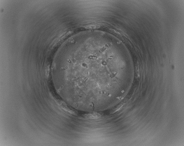 X0000075920652200610062209