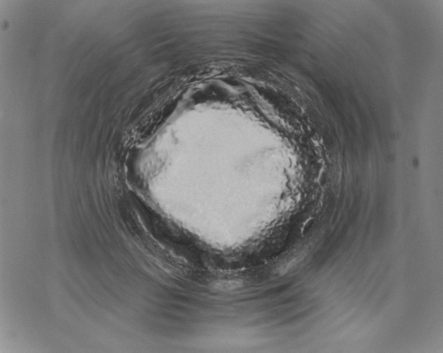 X0000075920653200610062209