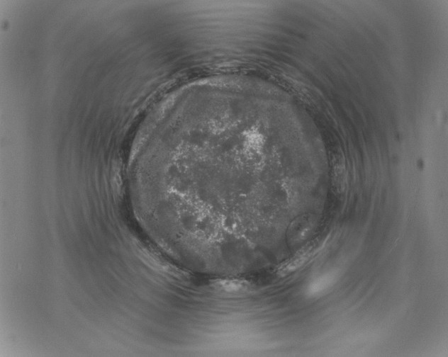 X0000075920654200610062209