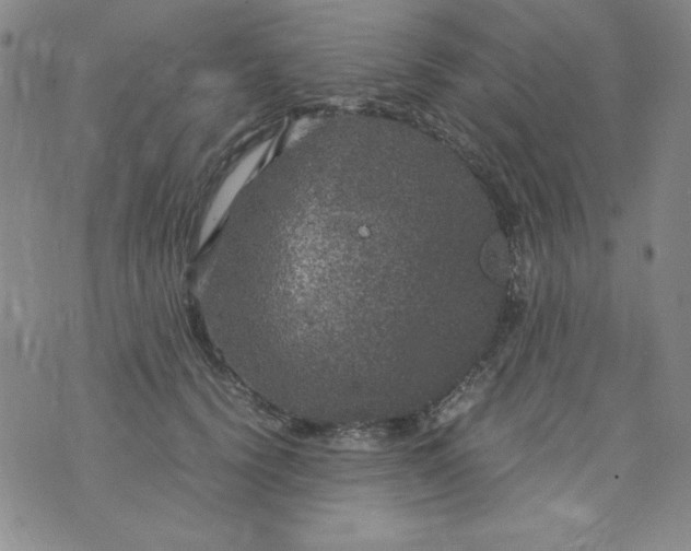 X0000075920656200610062209