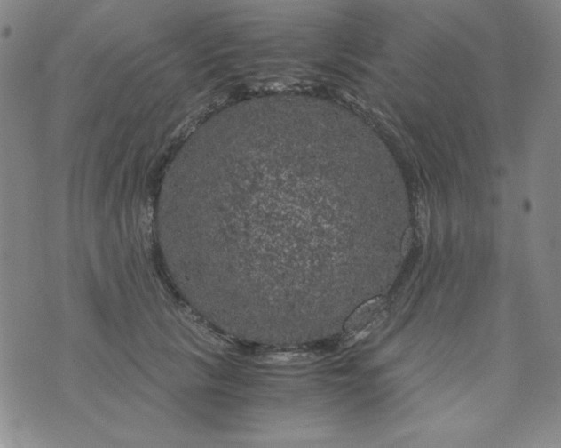 X0000075920657200610062209