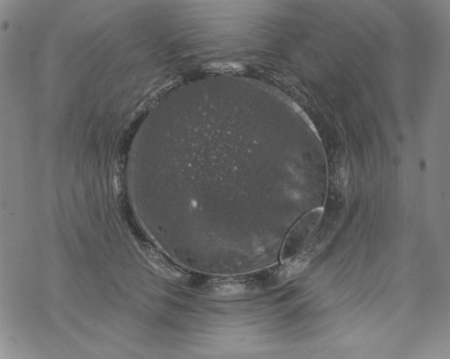 X0000075920658200610062209