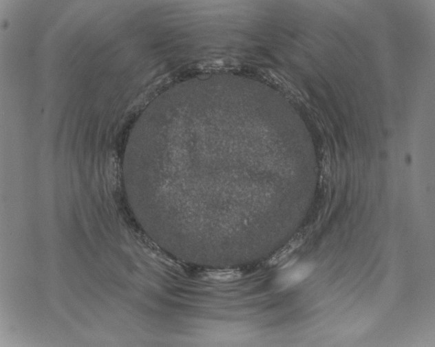 X0000075920659200610062209